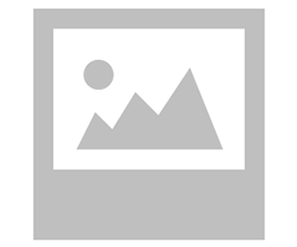 Chicken Steak Burger with French Fries